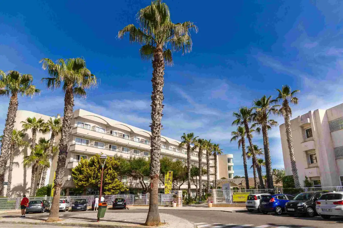 Palmeras entrada Eix Platja Daurada Hotel & Spa