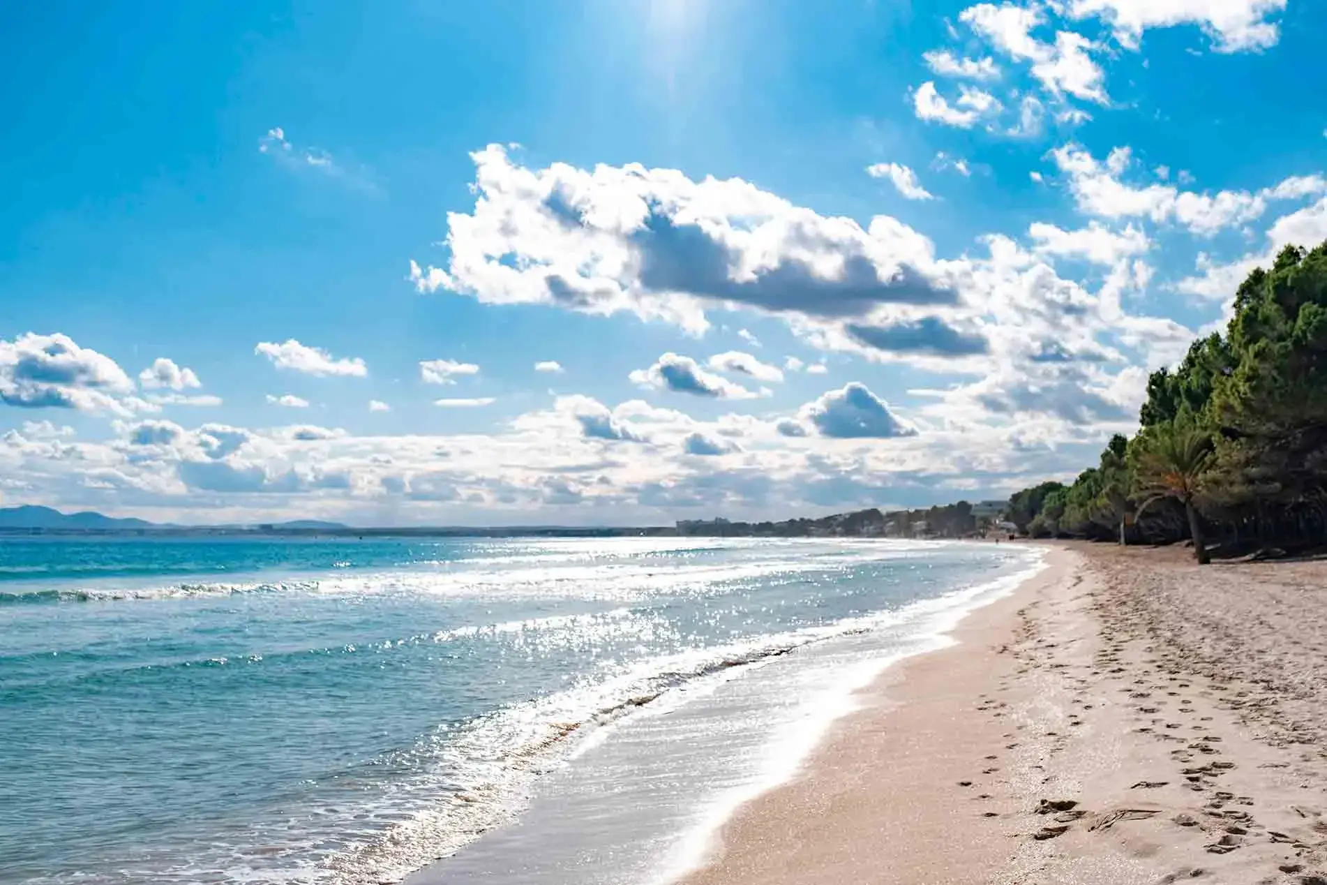 Vistas playa Can Picafort