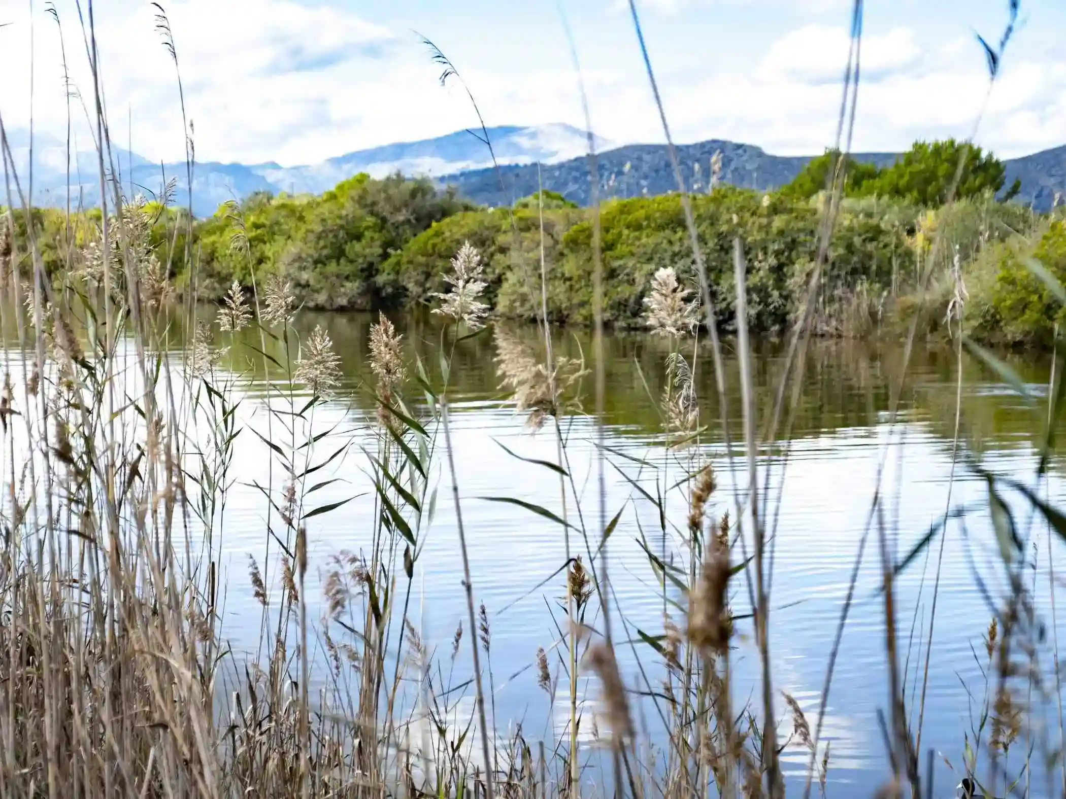 exteriores Eix Lagotel Holiday Resort