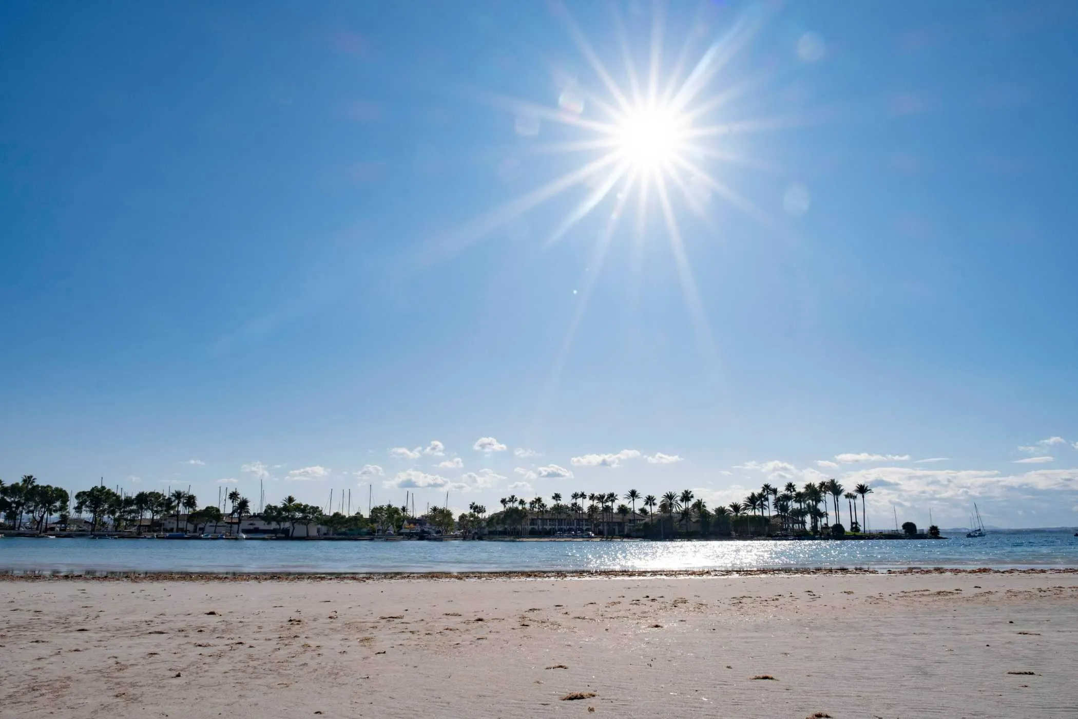 Playa Eix Alcudia Hotel