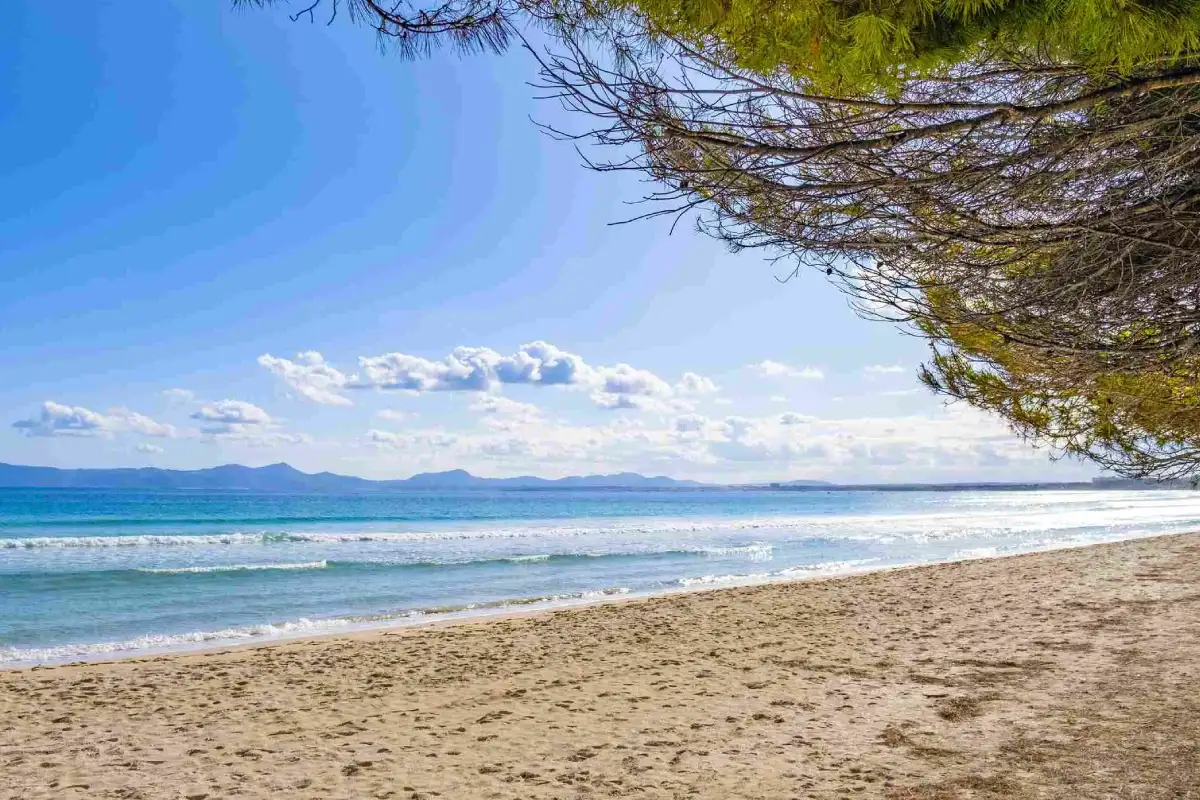 Playa Eix Platja Daurada Hotel & Spa