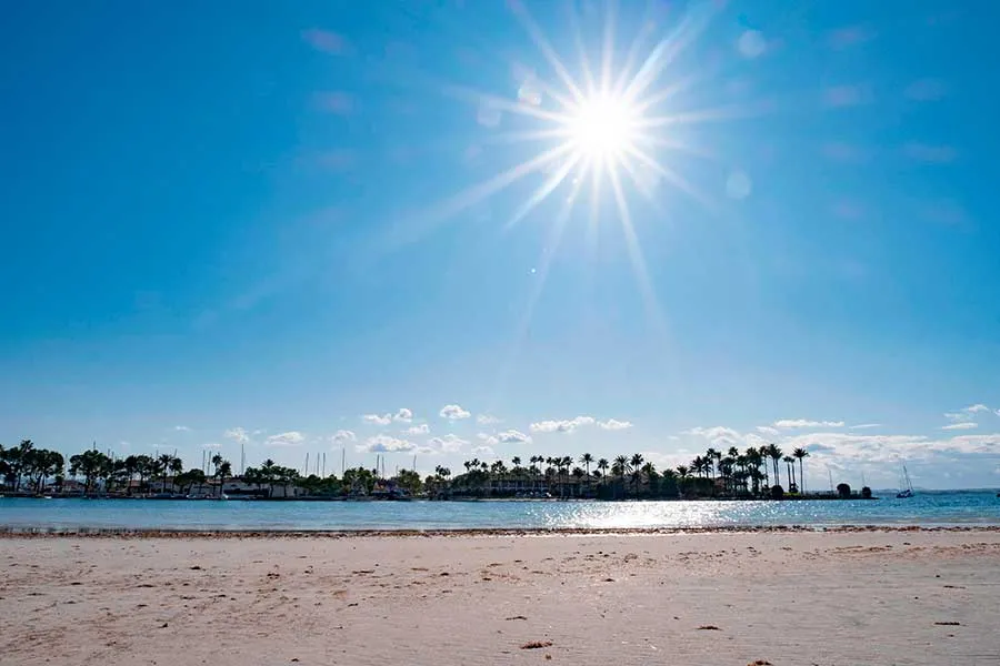 Playa Eix Alcudia Hotel