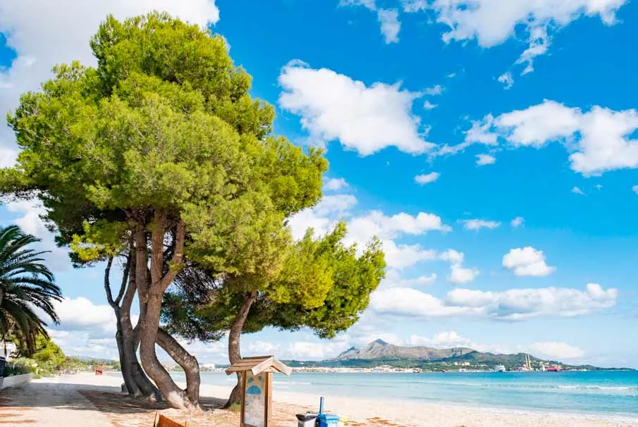 hotel playa eix lagotel holiday resort