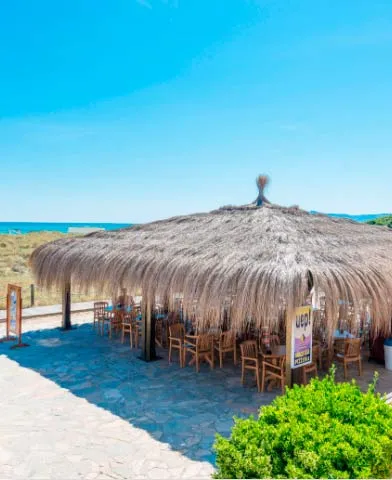 cerca de la playa eix platja daurada hotel spa mallorca